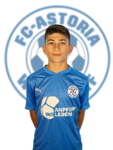 Ersu Altinisik