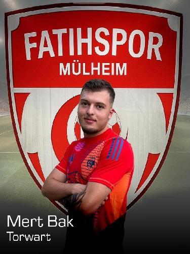Erol Mert Bak