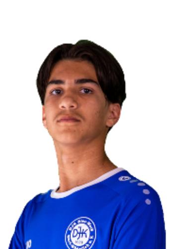 Miguel Johannes de Carvalho Dikman