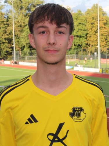 Milan Van Der Weem