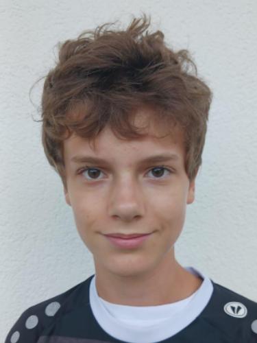 Hannes Ziegler