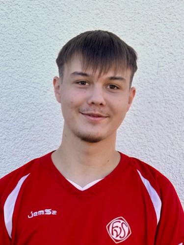 Elmir Dzinic