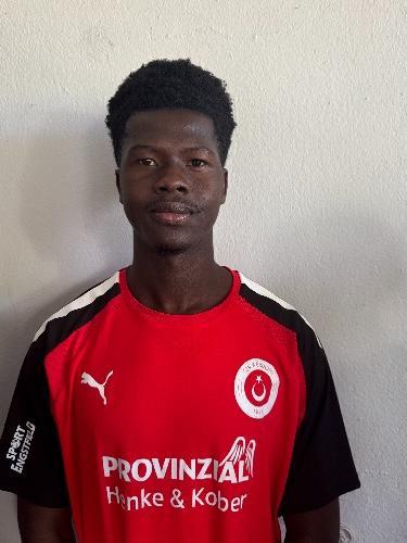 Mohamad Bafode Sylla