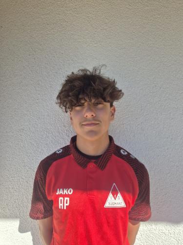 Alexandru-Ioan Paunescu