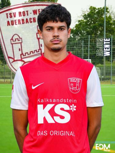 Arjun Nadkarni Wente