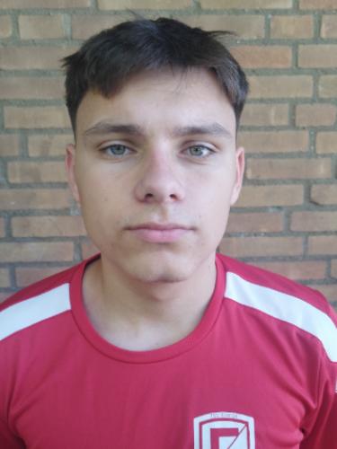 Raul Gabriel Dankler