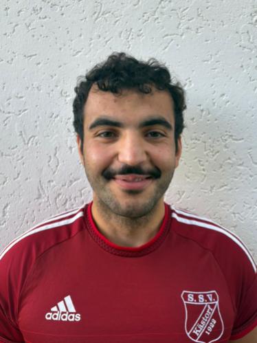Serdar-Ali Kaya