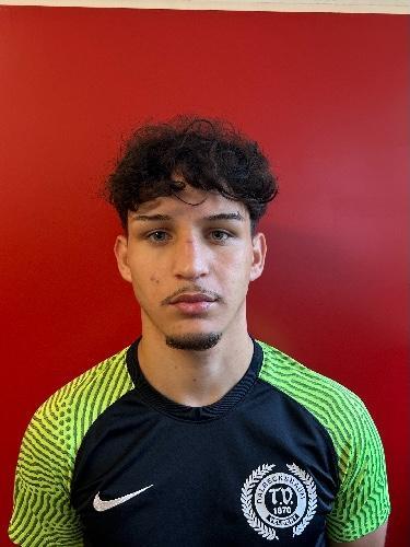 Tane Dimitrov