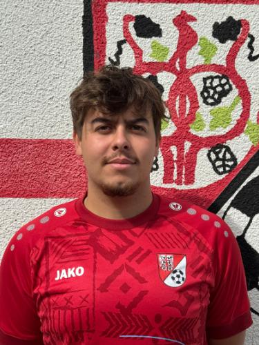 Paulo Filipe da Silva Neto