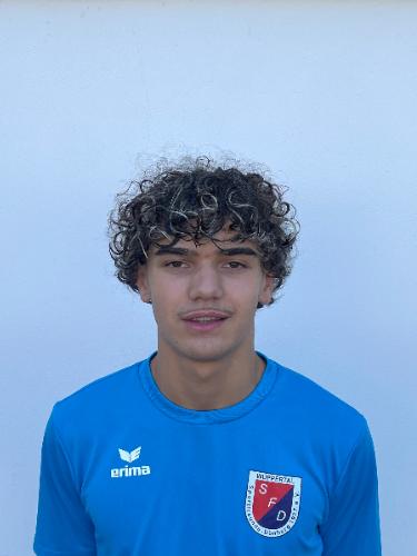 Borill Marais Allucian Rusinov