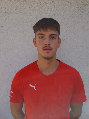 Amir Edin Hussein Catic