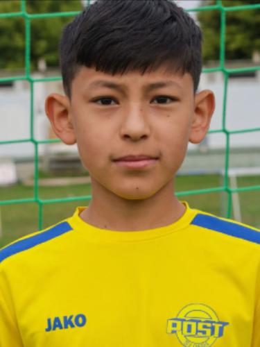 Amir Ali Shayan