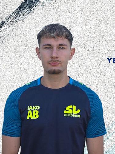 Yasin Firat Yesilkaya