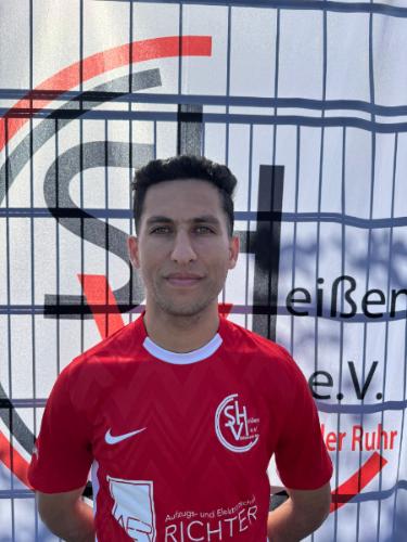 Mahmoud N. B. Alzatma