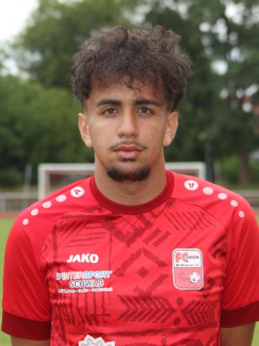 Max Arda Demir