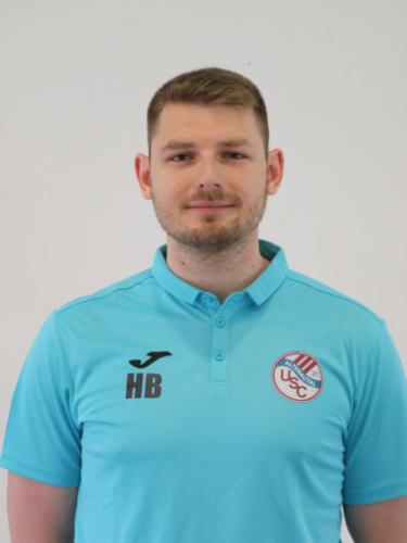 Henrik Bonse