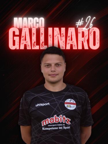 Marco Gallinaro