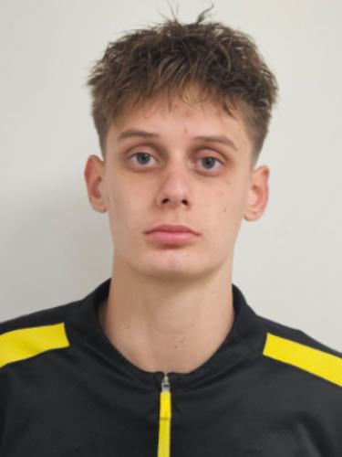 Dario Fabrice Pauli