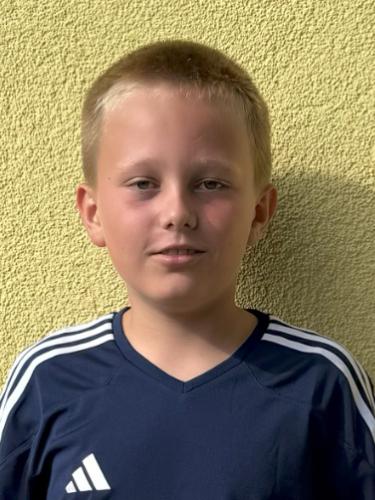 Felix Strich