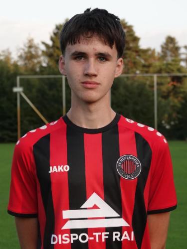 Nico Hanft