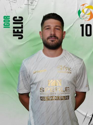 Igor Jelic