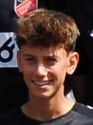 Niko Schmitt