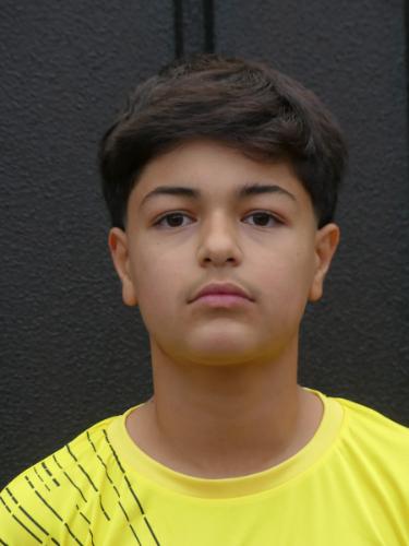 Mohammad Mustafa Nekzai