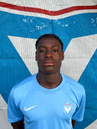 David-Wilstel Esekuluwe