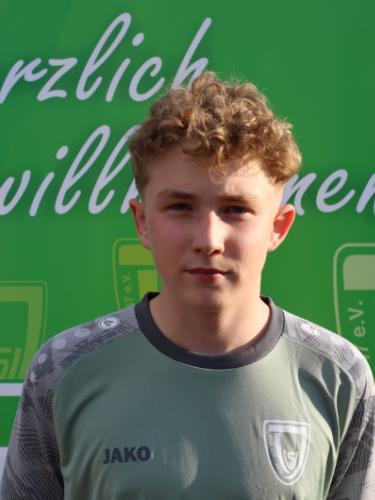 Niklas Mika Borgmeier