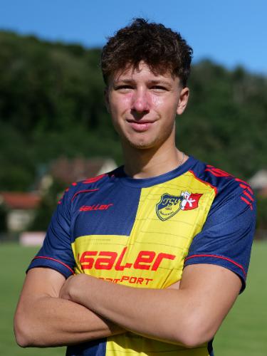 Timo Kolb