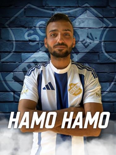 Hamo Hamid Hamo