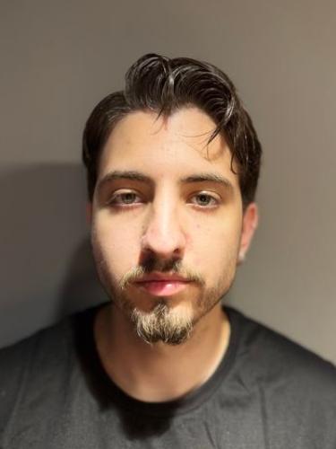 Manuel Alexandre Borja Ribeiro