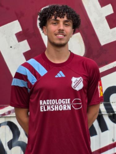 Mohamed Kamal Salama