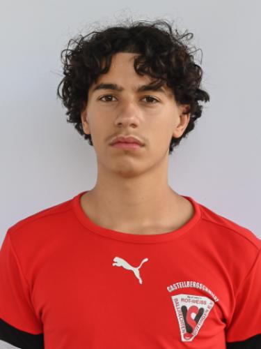 Leonardo Gestro