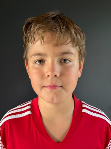 Ludwig Sahin Radekopp