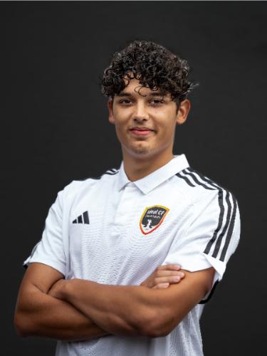 Alessandro Tallarico Alves
