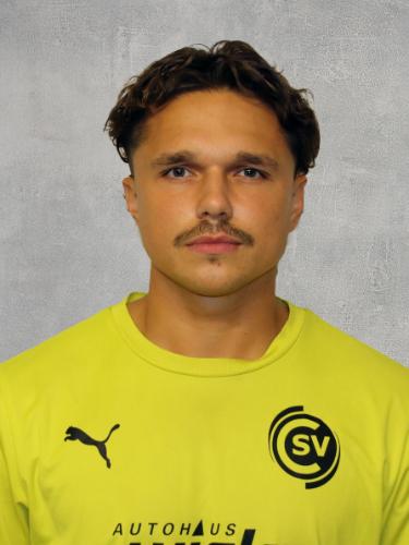 Carlos Sauer