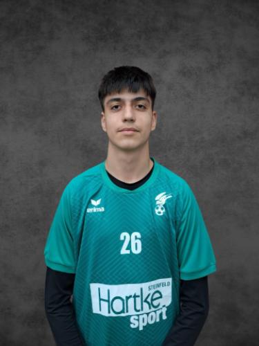 Mario-Catalin Udrea