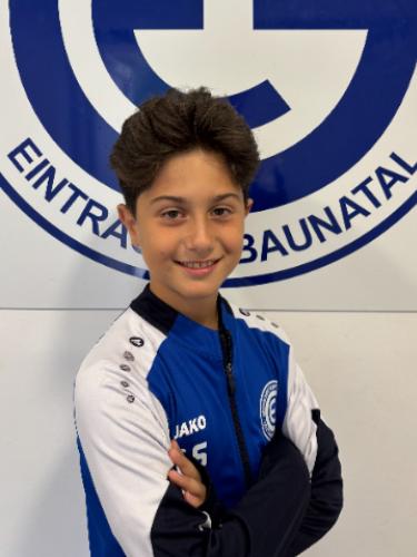 Ajan Sejdini