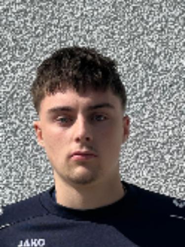 Willi Alexander Henzel