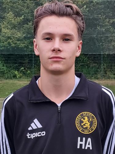 Hannes Ahlborn