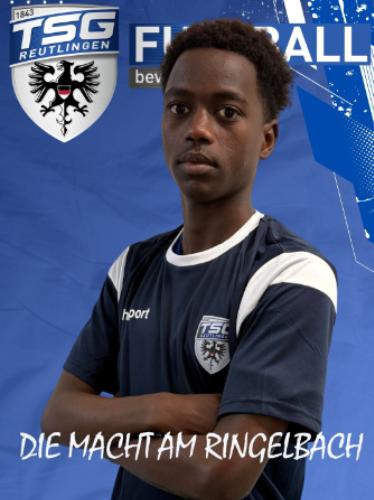 Walid Ahmed Mohamednur