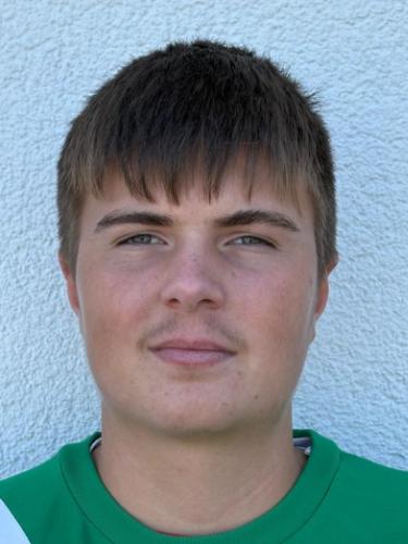 Alexandru-Gabriel Ichim