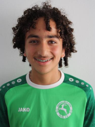 David Aydin