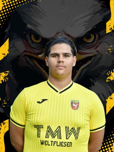 Darius Sebstian Axente