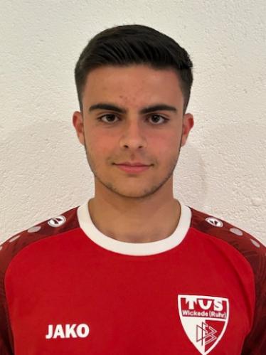 Diogo Ribeiro Martins