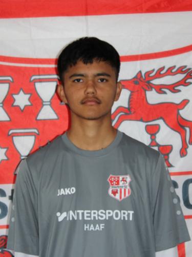 Muhammad Mahdi Nemati