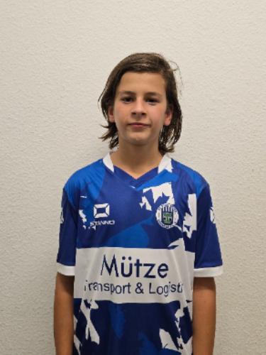 Hans Florentin Julius