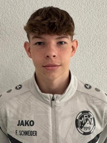 Fabian Schneider