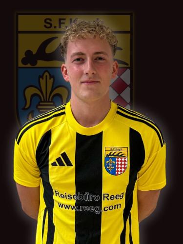 Fabian Lutz